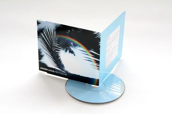 Division Of Laura Lee, Pretty Electric CD single, rainbow through palm leaves artwork